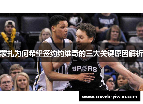 蒙扎为何希望签约约维奇的三大关键原因解析